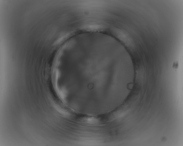 X0000092010165200709271536