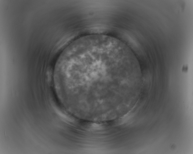 X0000092010166200709271536