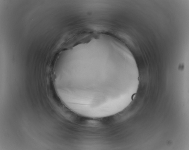 X0000092010167200709271536