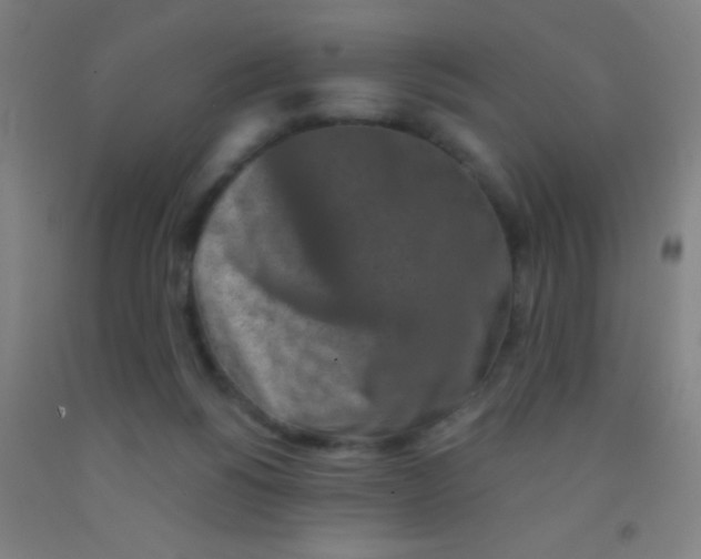 X0000092010168200709271536