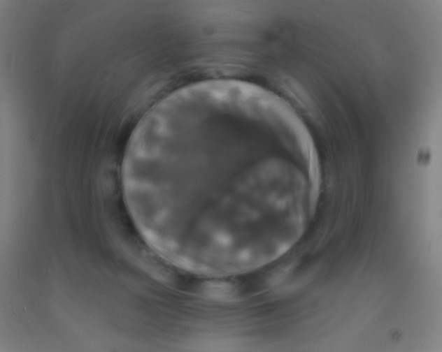 X0000092010169200709271536