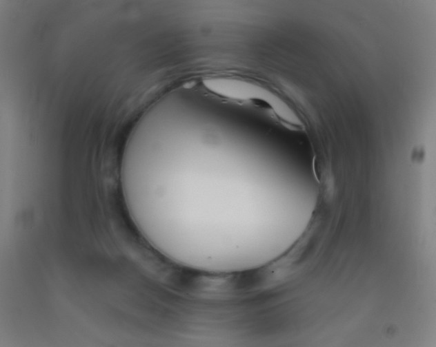 X0000092010170200709271536