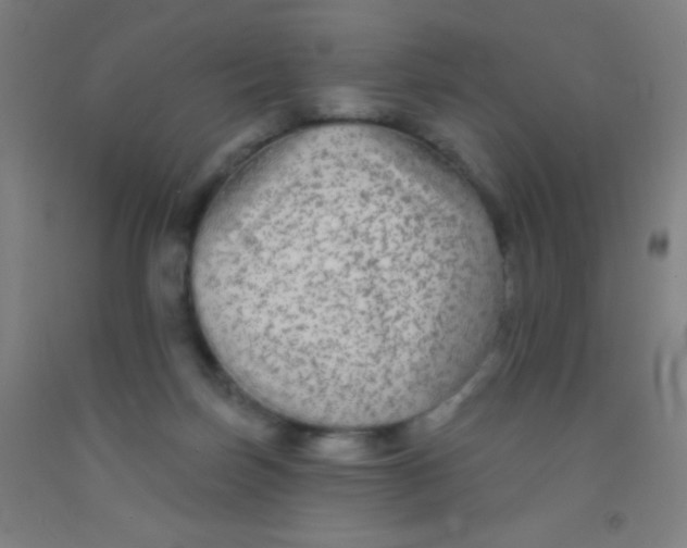 X0000092010171200709271536