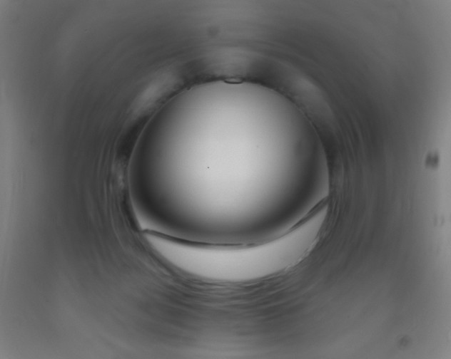 X0000092010172200709271536