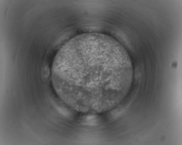 X0000092010173200709271536