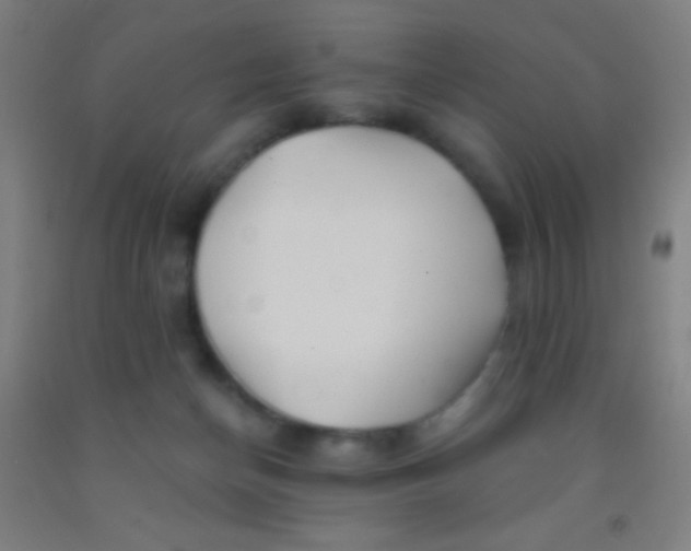 X0000092010174200709271536