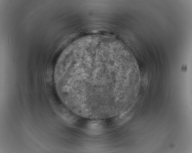 X0000092010175200709271536