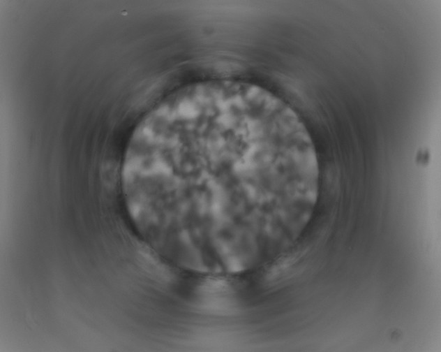 X0000092010177200709271536