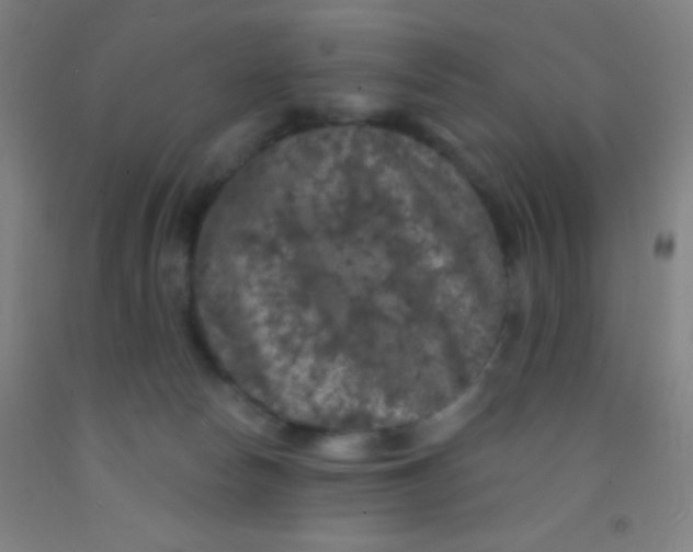 X0000092010178200709271536