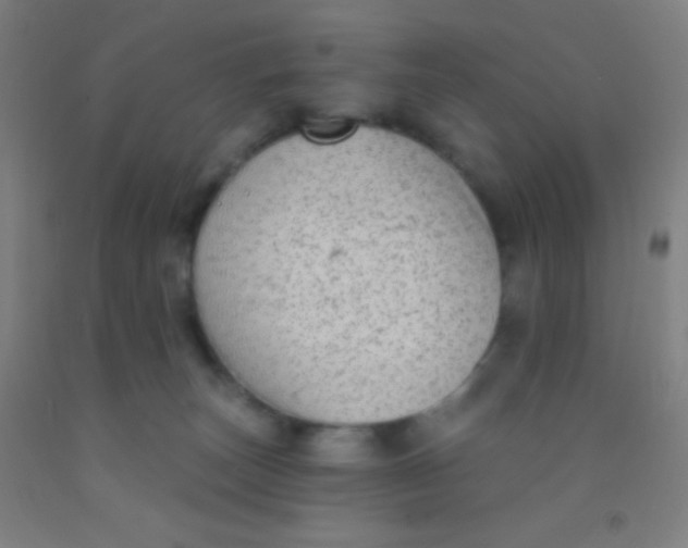 X0000092010179200709271536