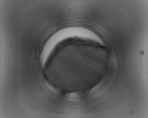 X0000092010180200709271536