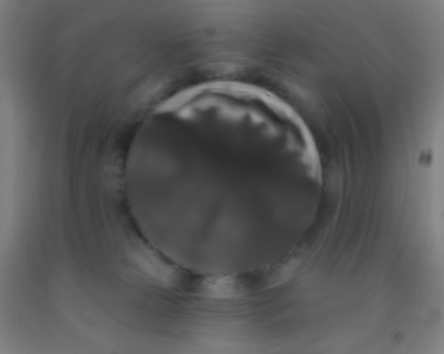 X0000092010181200709271536