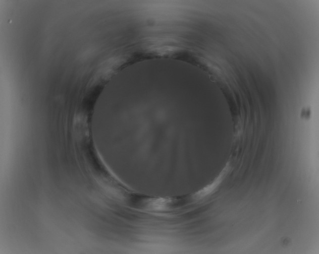 X0000092010182200709271536