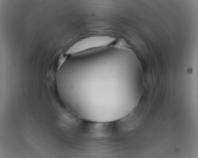 X0000092010184200709271536