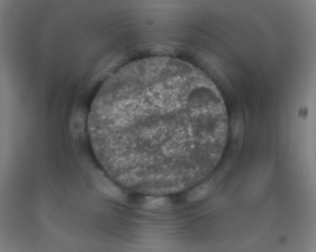 X0000092010185200709271536