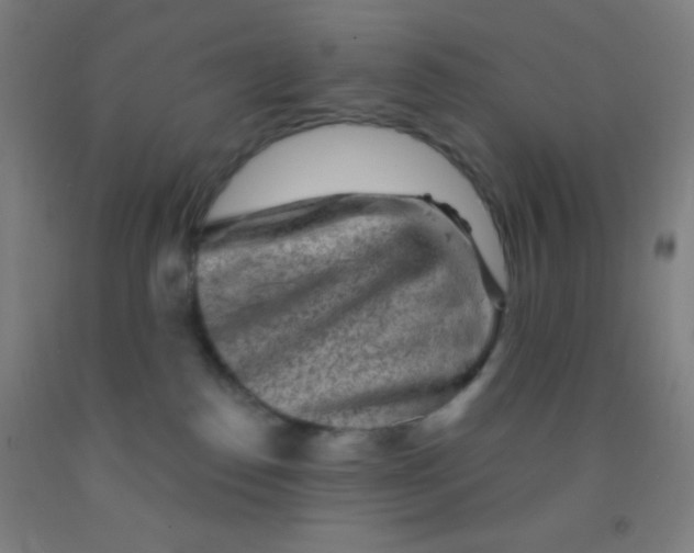 X0000092010186200709271536