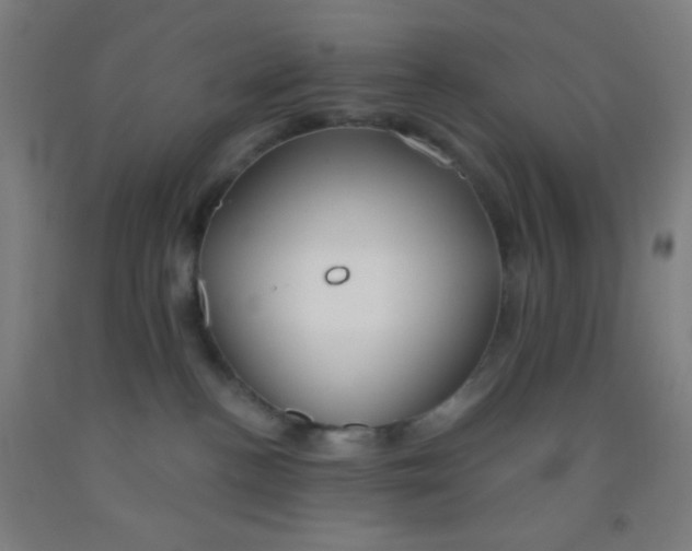 X0000092010188200709271536