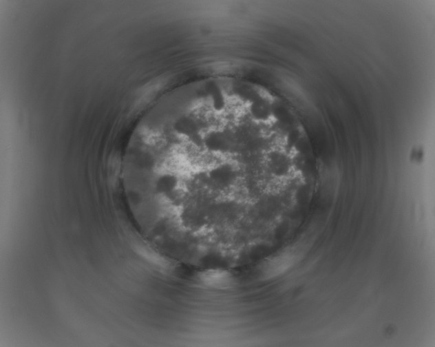 X0000092010189200709271536