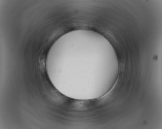 X0000092010190200709271536