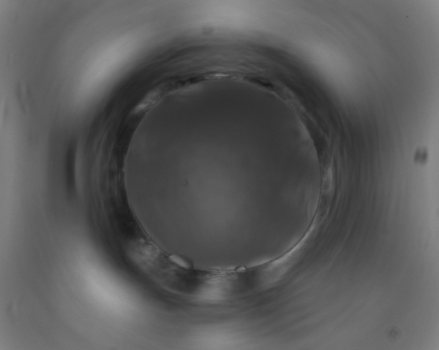 X0000092010191200709271536