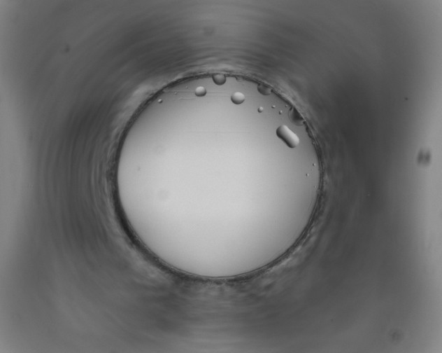 X0000092010193200709271536