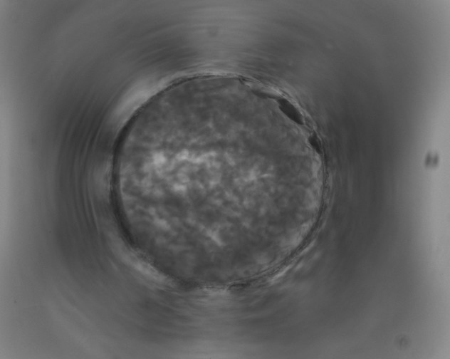 X0000092010194200709271536