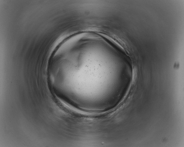 X0000092010195200709271536