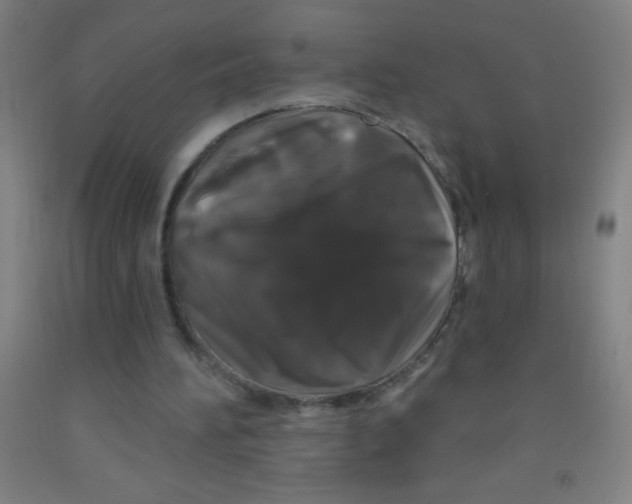 X0000092010196200709271536