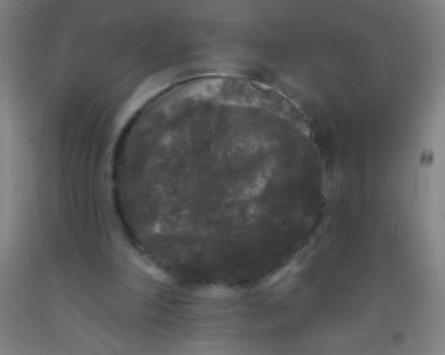 X0000092010198200709271536