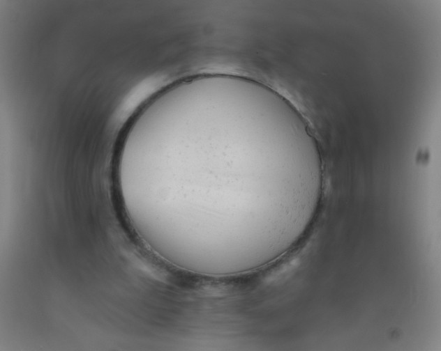 X0000092010199200709271536