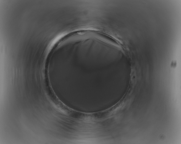 X0000092010200200709271536