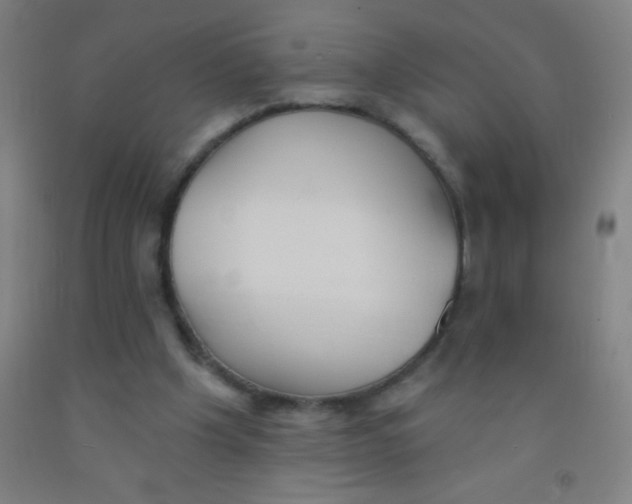 X0000092010201200709271536