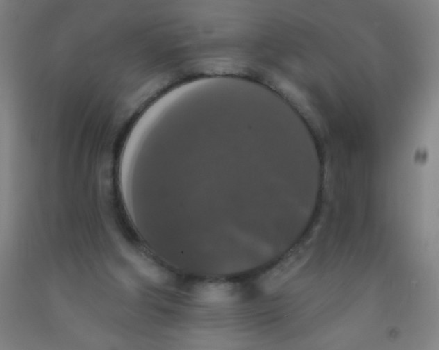 X0000092010202200709271536