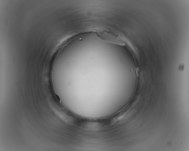 X0000092010203200709271536