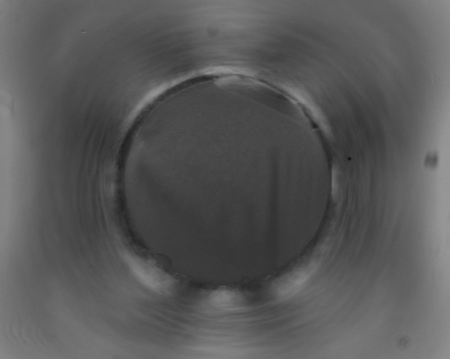 X0000092010204200709271536