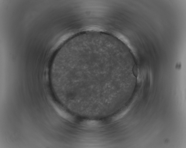 X0000092010205200709271536