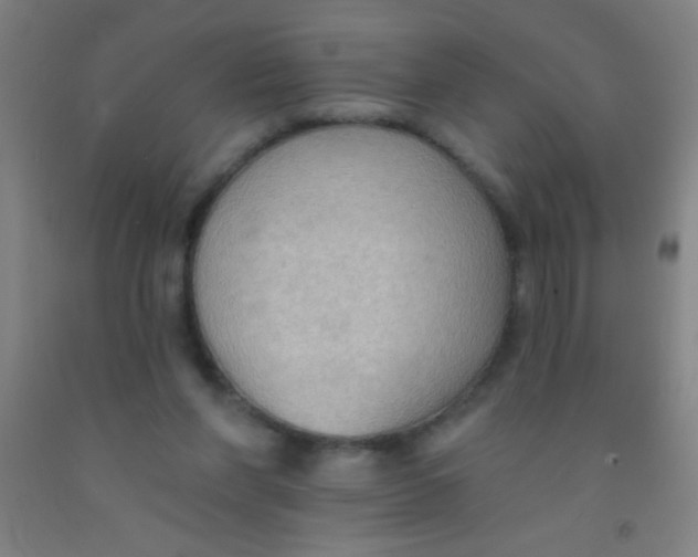 X0000092010206200709271536