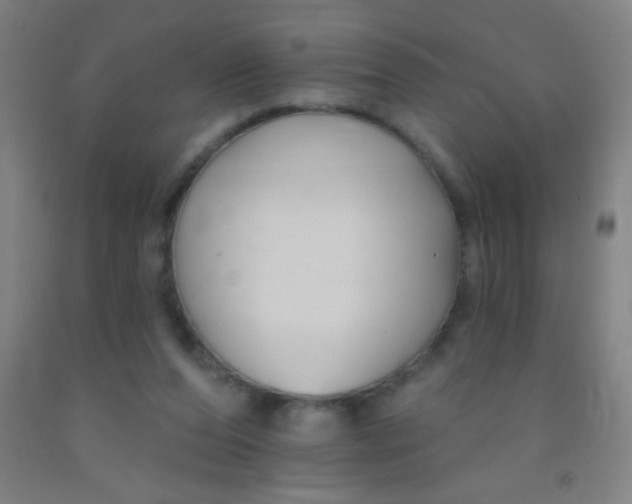 X0000092010208200709271536