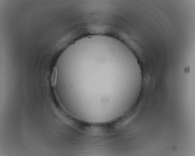 X0000092010209200709271536