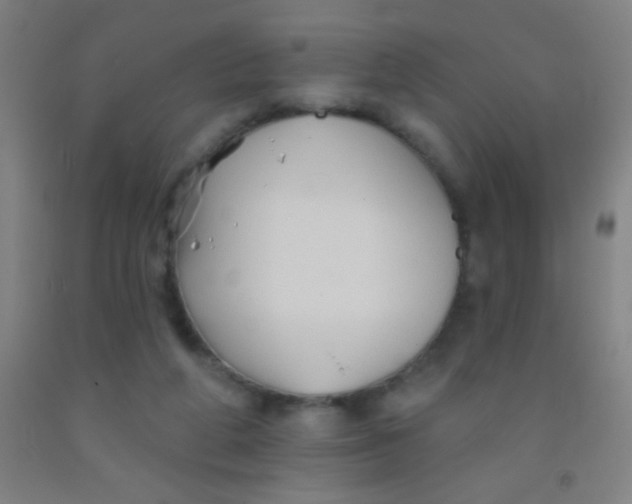 X0000092010210200709271536