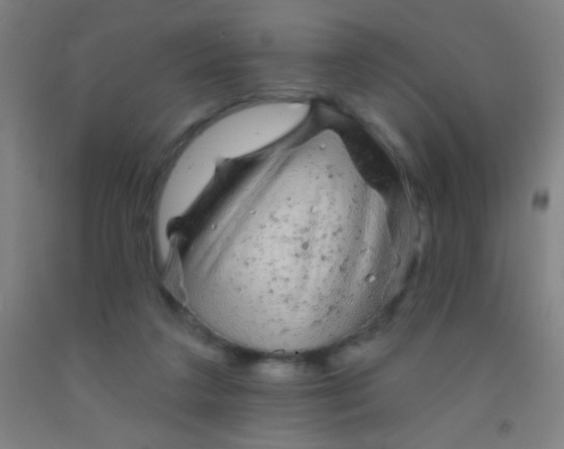 X0000092010211200709271536