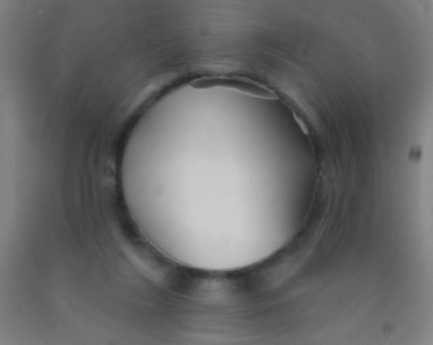 X0000092010212200709271536