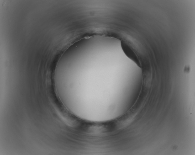 X0000092010213200709271536