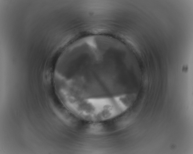 X0000092010214200709271536