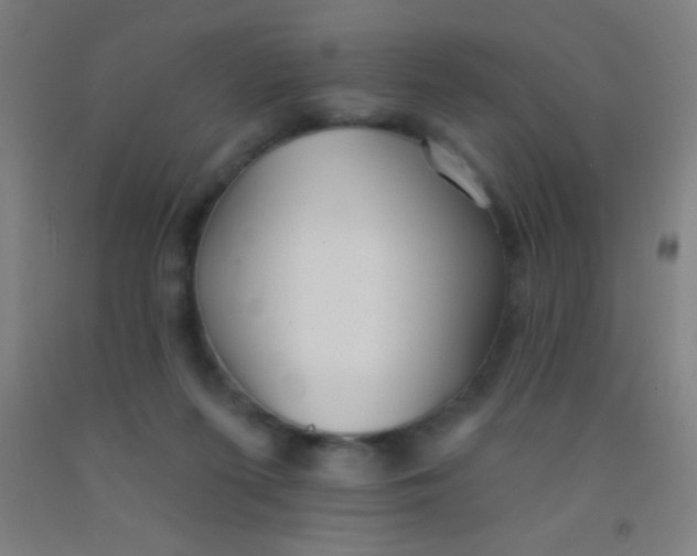 X0000092010215200709271536