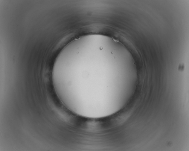 X0000092010216200709271536