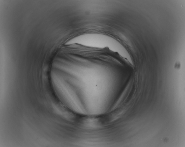 X0000092010217200709271536