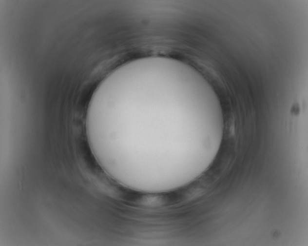 X0000092010218200709271536