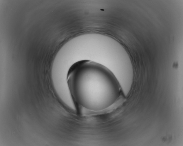 X0000092010219200709271536