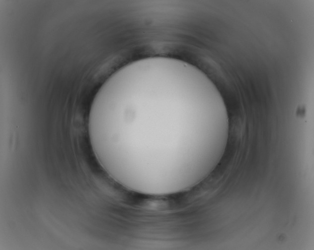 X0000092010220200709271536